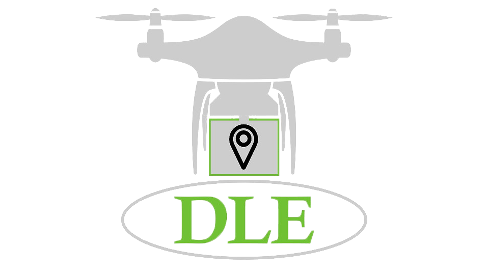DLE logo